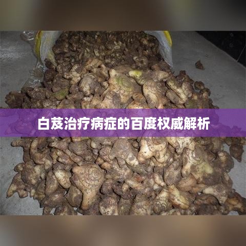 白芨治疗病症的百度权威解析