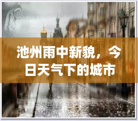 池州雨中新貌，今日天气下的城市风采