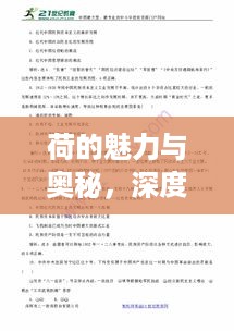 荷的魅力与奥秘，深度探究专题研究