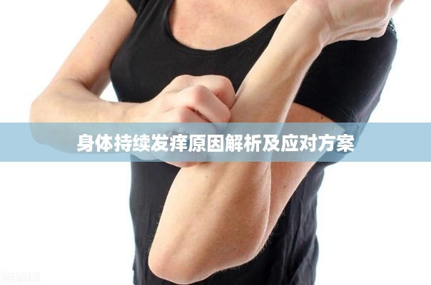 身体持续发痒原因解析及应对方案