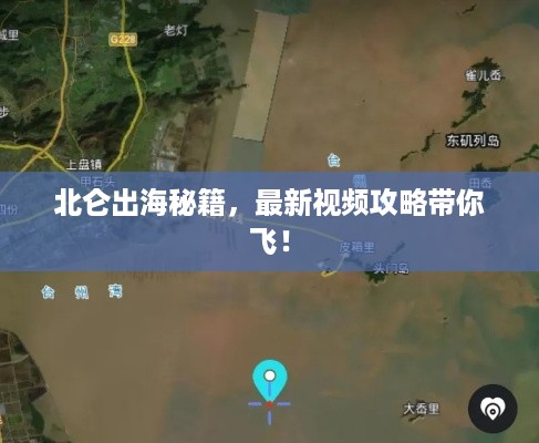 北仑出海秘籍，最新视频攻略带你飞！