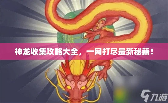 神龙收集攻略大全，一网打尽最新秘籍！