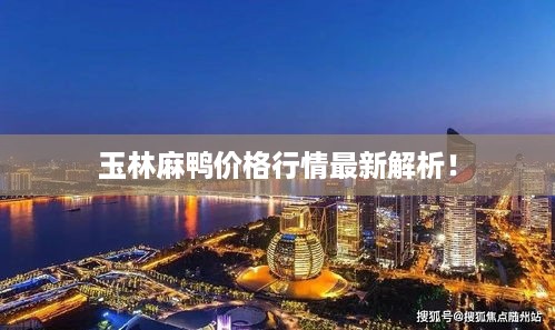 玉林麻鸭价格行情最新解析！