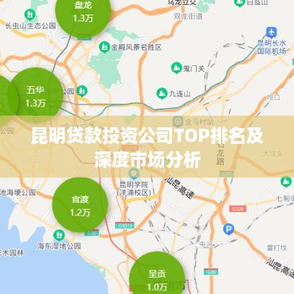 昆明贷款投资公司TOP排名及深度市场分析